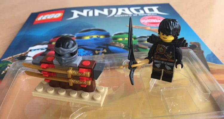 lego ninjago ameet