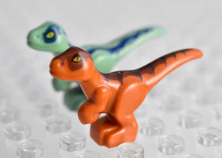 LEGO Jurassic World Magazin Nr. 1 mit Baby-Raptor und Nest im Review
