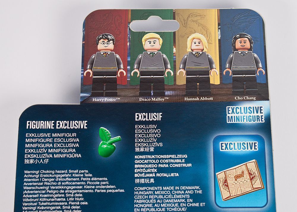 LEGO 40419 Hogwarts Students Accessory Set im Schnell-Check