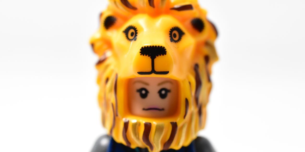 LEGO 71028 Harry Potter Minifguren