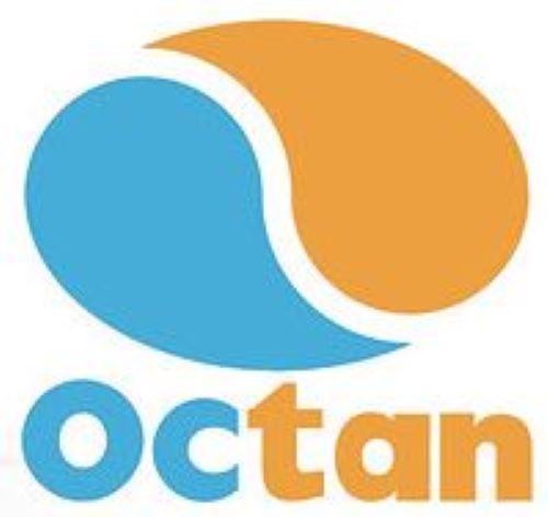 Wenn Octan ein echtes Unternehmen wäre ...