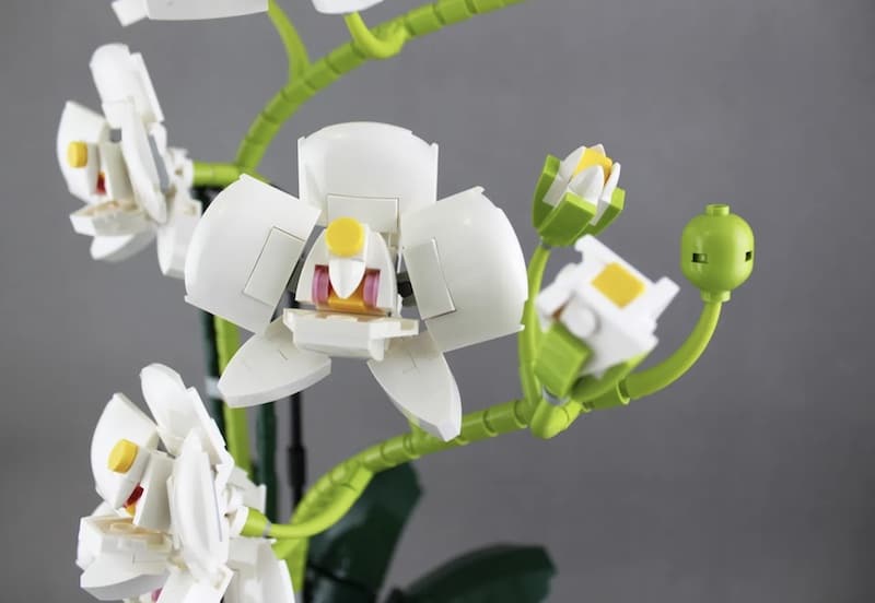 LEGO Ideas: Orchideen werden nicht nur gepflanzt, sondern auch gebaut
