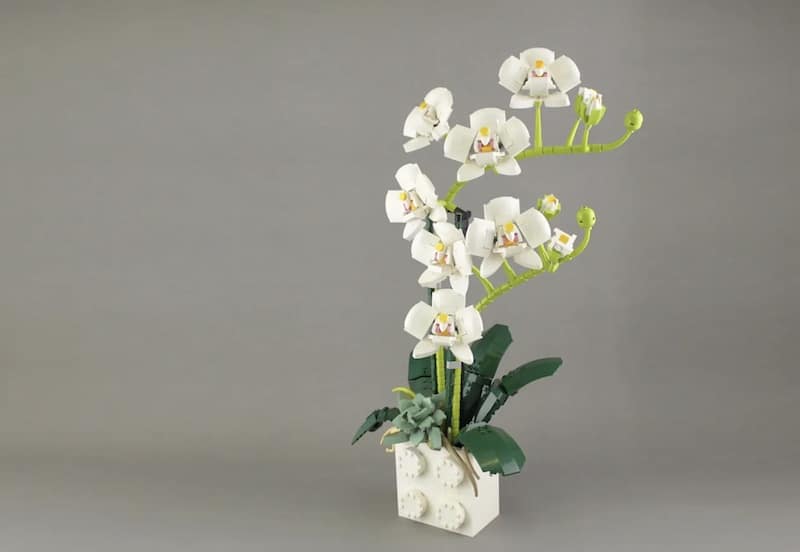 LEGO Ideas: Orchideen werden nicht nur gepflanzt, sondern auch gebaut