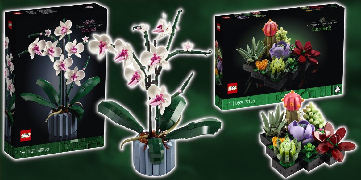 LEGO Botanical Collection 2022: Sukkulenten (10309) und Orchidee (10311)  offiziell vorgestellt