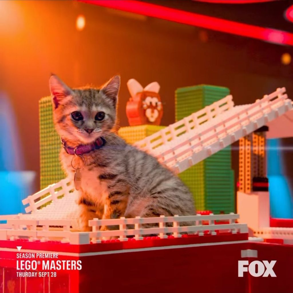 LEGO Masters USA Gewinner erhält eigenes LEGO Set