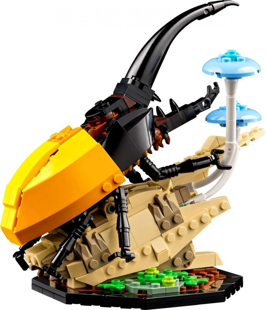 LEGO 21342 Die Insektensammlung: Neues Ideas Set vorgestellt
