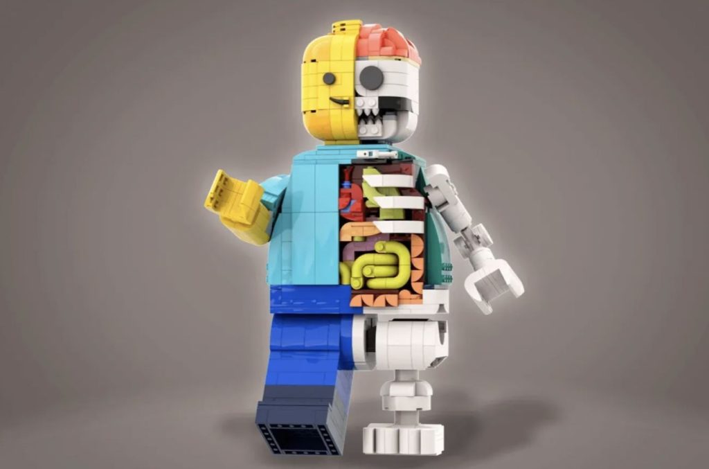 LEGO Ideas LEGO Anatomy