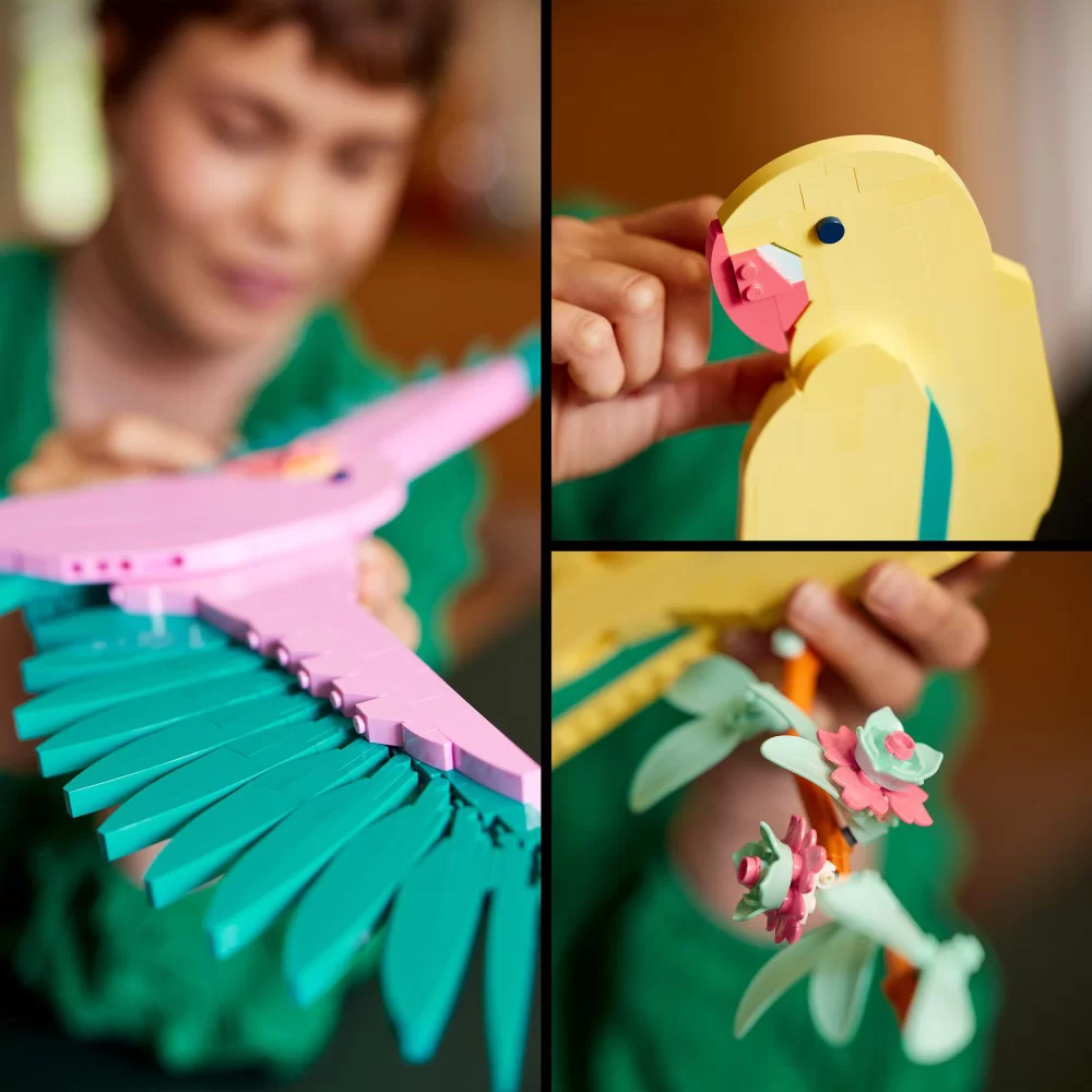 LEGO Art 31211 Macaw Parrots: Erste Bilder des kommenden Sets!