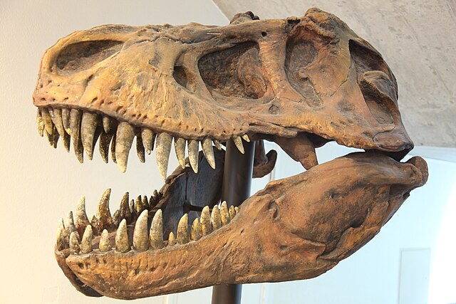 LEGO Jurassic World 76964