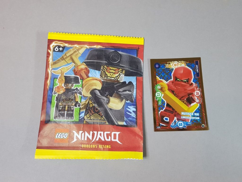 LEGO Ninjago Magazin 113