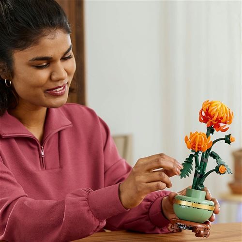 LEGO Botanical Collection: Erste Bilder zu 10368 Chrysantheme & 10369 Pflaumenblüten