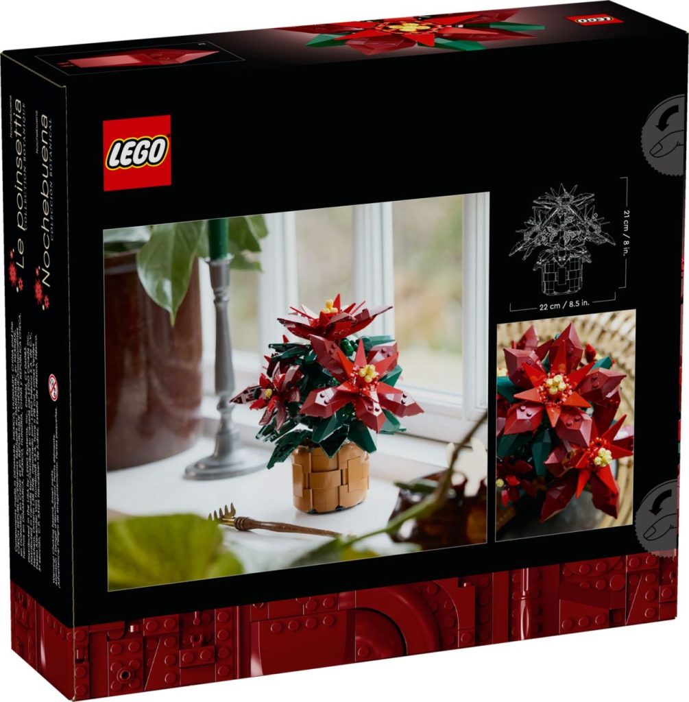 LEGO Icons 10370 Weihnachtsstern & 10340 Dekokranz offiziell vorgestellt!