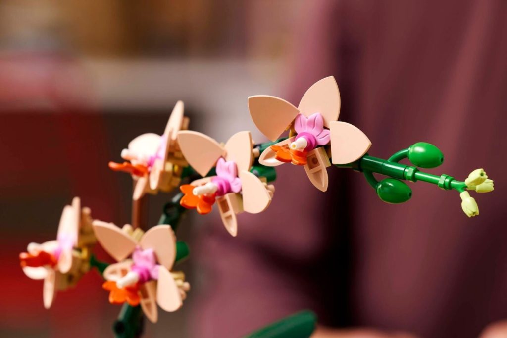 LEGO Botanicals Neuheiten für 2025 vorgestellt: Glücks-Bambus, Mini-Orchidee und Rosafarbener Blumenstrauß