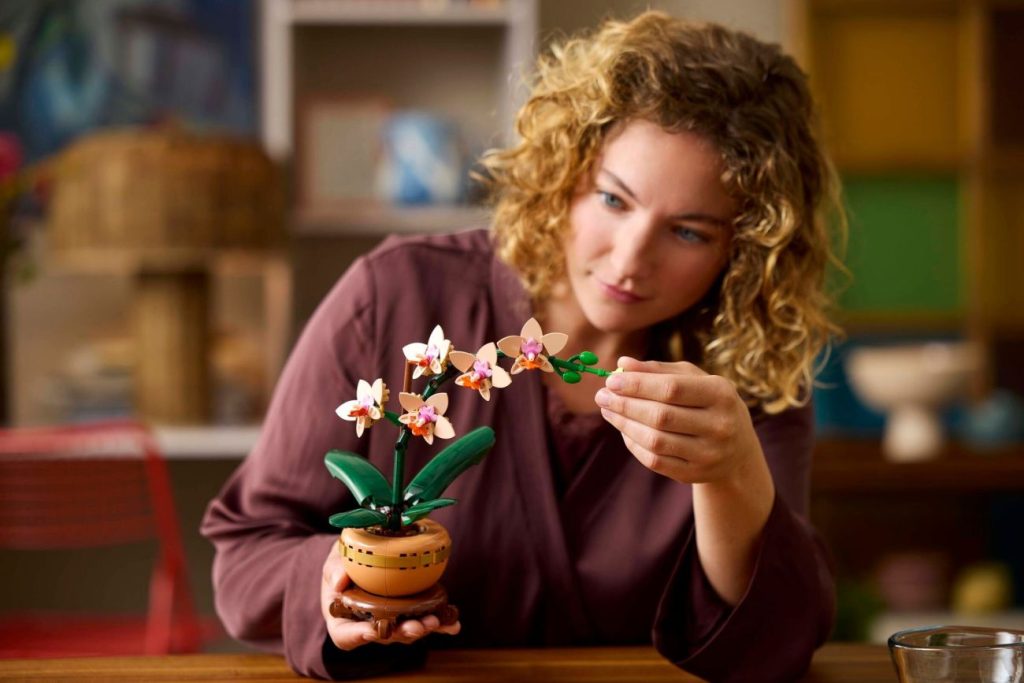 LEGO Botanicals Neuheiten für 2025 vorgestellt: Glücks-Bambus, Mini-Orchidee und Rosafarbener Blumenstrauß