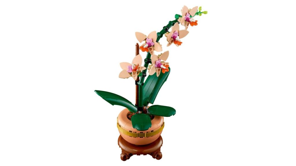 LEGO Botanicals Neuheiten für 2025 vorgestellt: Glücks-Bambus, Mini-Orchidee und Rosafarbener Blumenstrauß