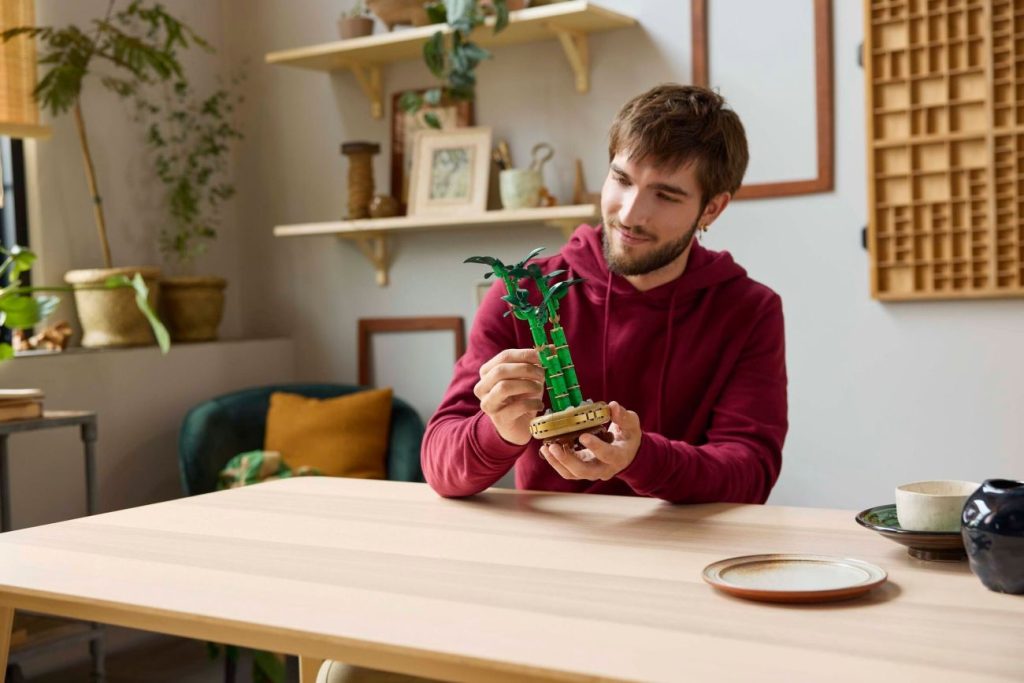 LEGO Botanicals Neuheiten für 2025 vorgestellt: Glücks-Bambus, Mini-Orchidee und Rosafarbener Blumenstrauß