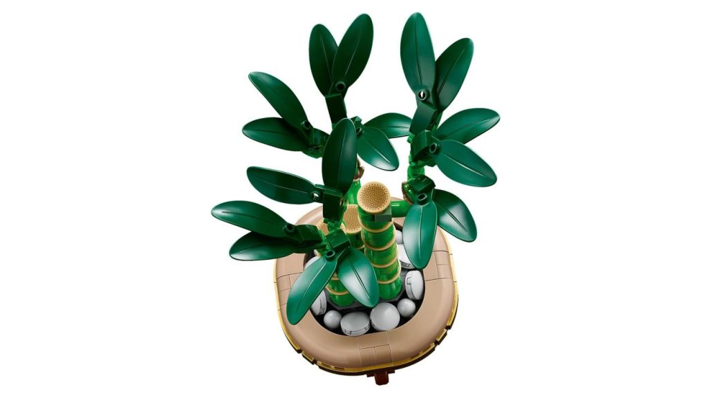LEGO Botanicals Neuheiten für 2025 vorgestellt: Glücks-Bambus, Mini-Orchidee und Rosafarbener Blumenstrauß