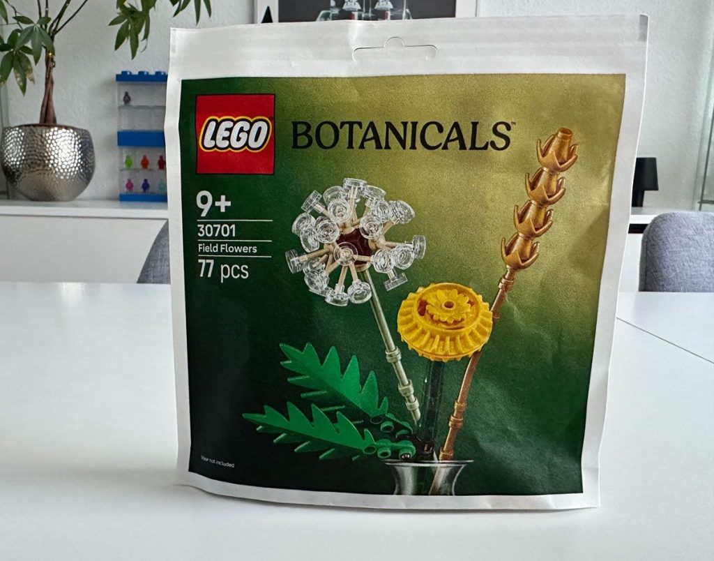 Immer mehr LEGO Paperbags im Handel zu finden
