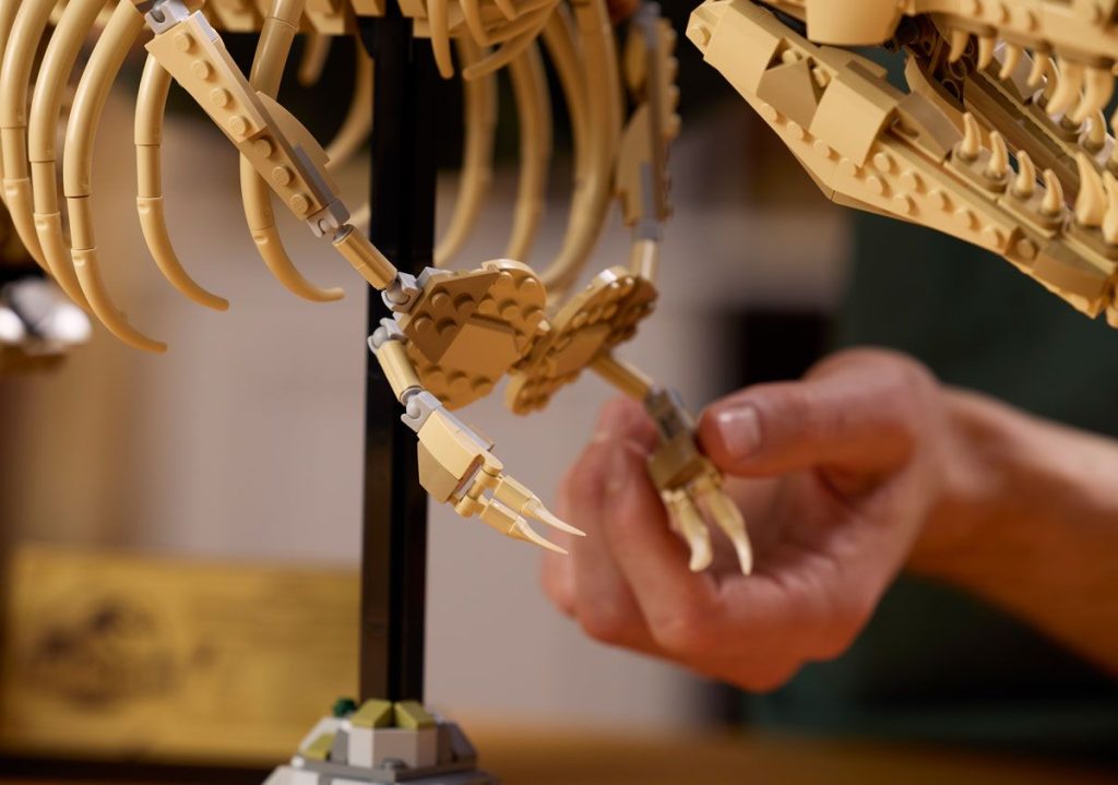 LEGO 76968 Jurassic World: 1-Meter-T-Rex Skelett kommt