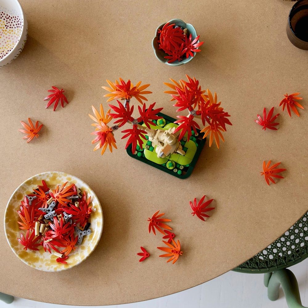 LEGO Botanicals Neuheiten im Juni: Erste Bilder zum Japanischen Ahorn & Happy Plants