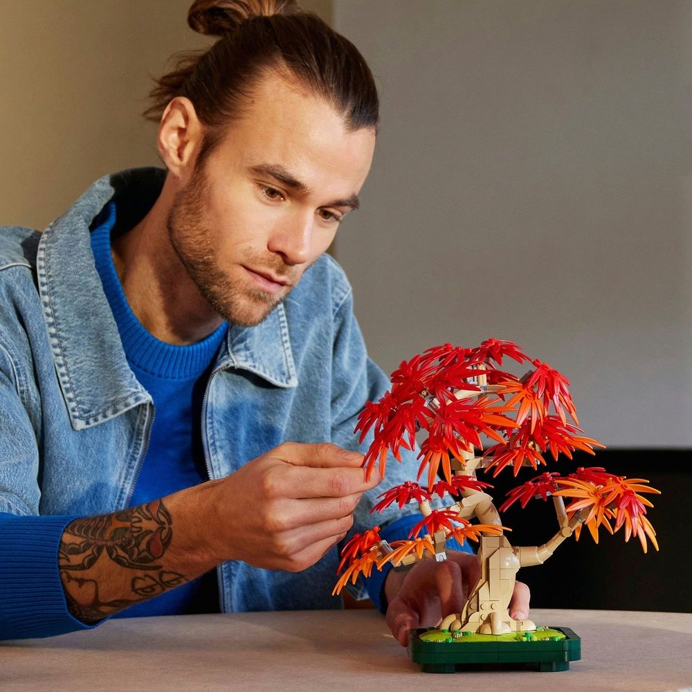 LEGO Botanicals Neuheiten im Juni: Erste Bilder zum Japanischen Ahorn & Happy Plants