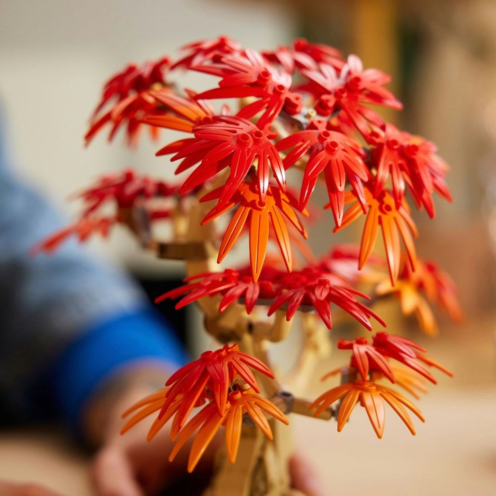 LEGO Botanicals Neuheiten im Juni: Erste Bilder zum Japanischen Ahorn & Happy Plants