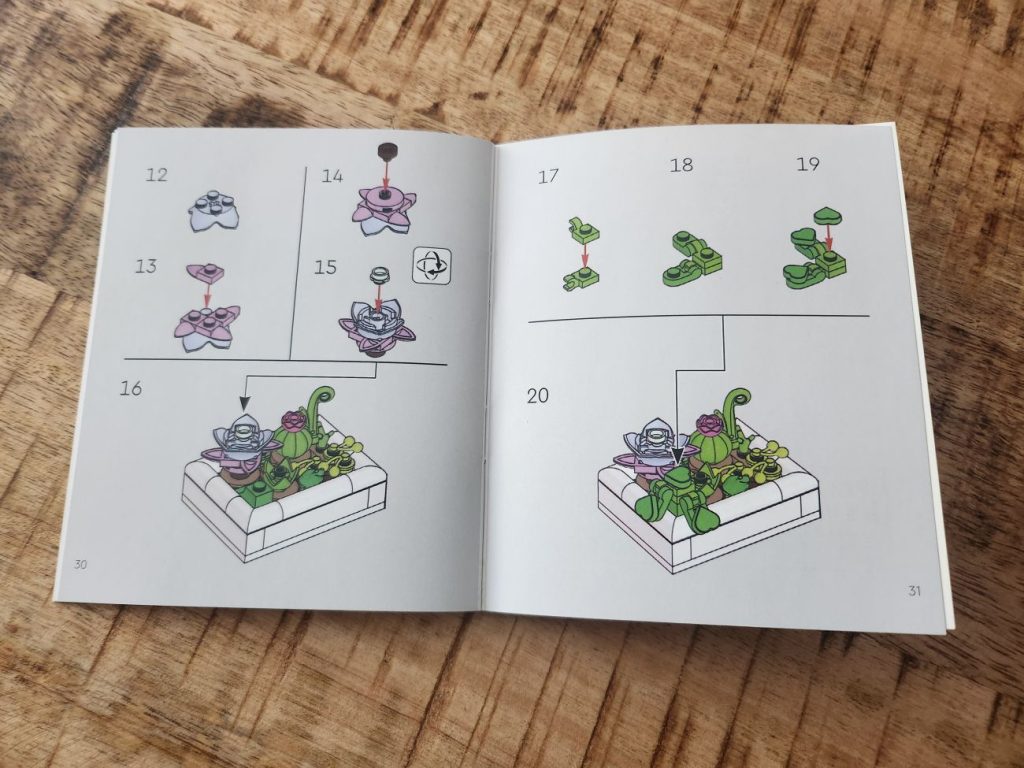 LEGO Botanicals Kakteen im Kurz-Review