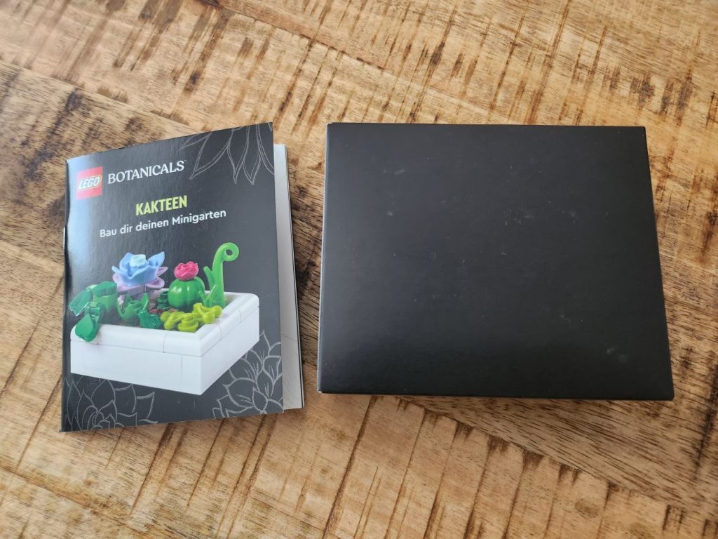 LEGO Botanicals Kakteen im Kurz-Review