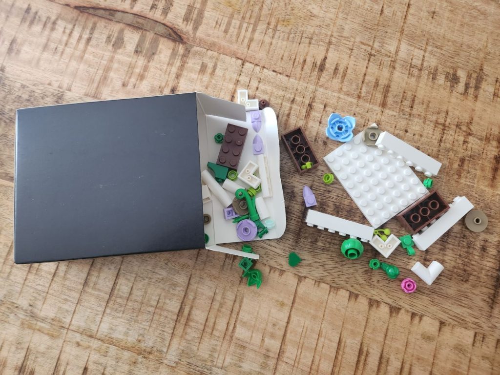 LEGO Botanicals Kakteen im Kurz-Review - neue Bücher von Ameet jetzt erhältlich!