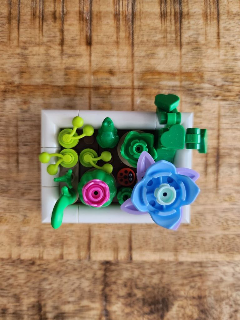 LEGO Botanicals Kakteen im Kurz-Review - neue Bücher von Ameet jetzt erhältlich!