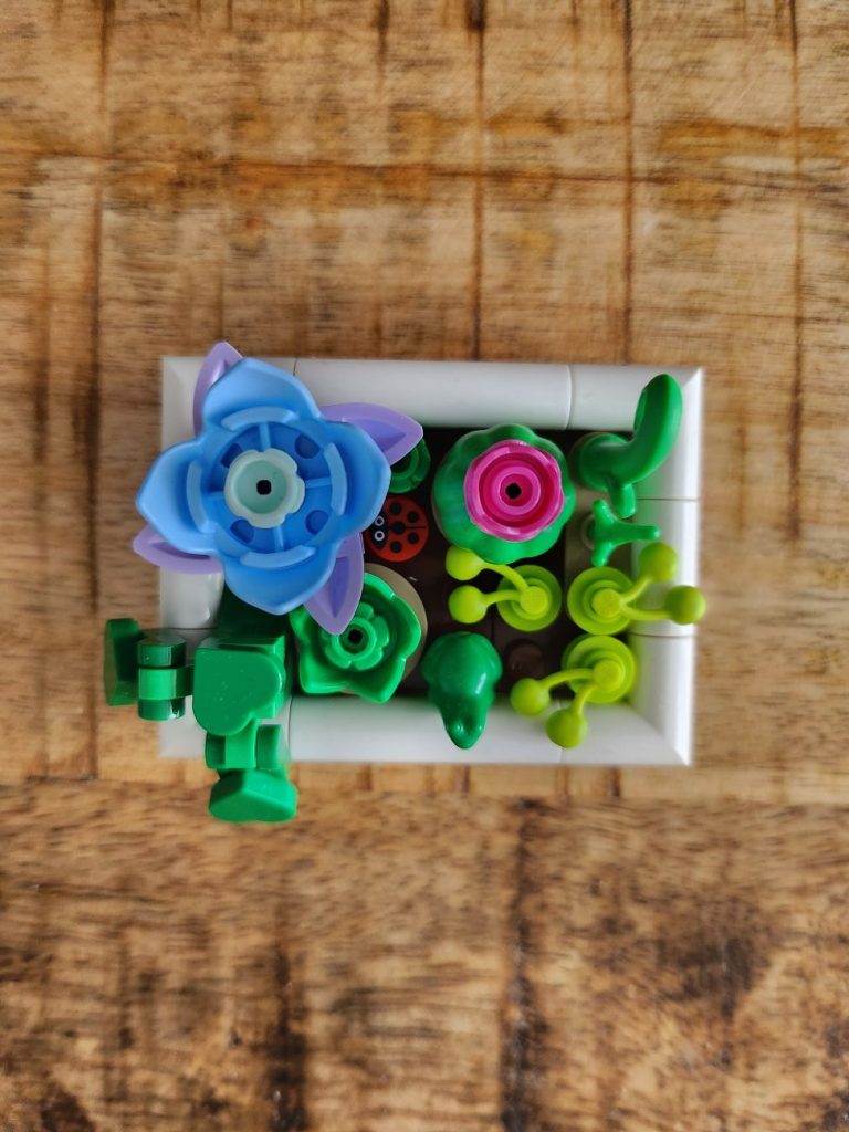 LEGO Botanicals Kakteen im Kurz-Review - neue Bücher von Ameet jetzt erhältlich!