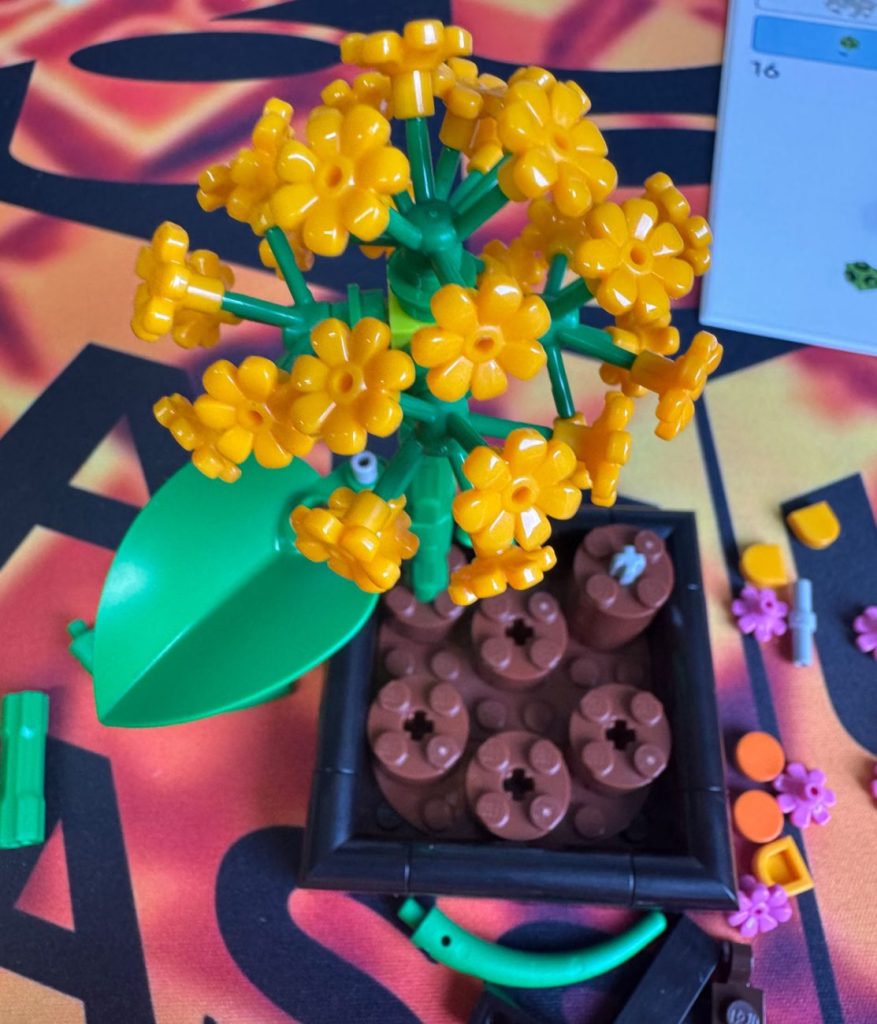 LEGO 6586991 Butterfly Garden im Kurz-Review