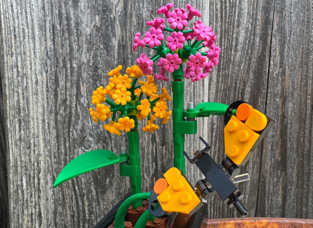 LEGO 6586991 Butterfly Garden im Kurz-Review