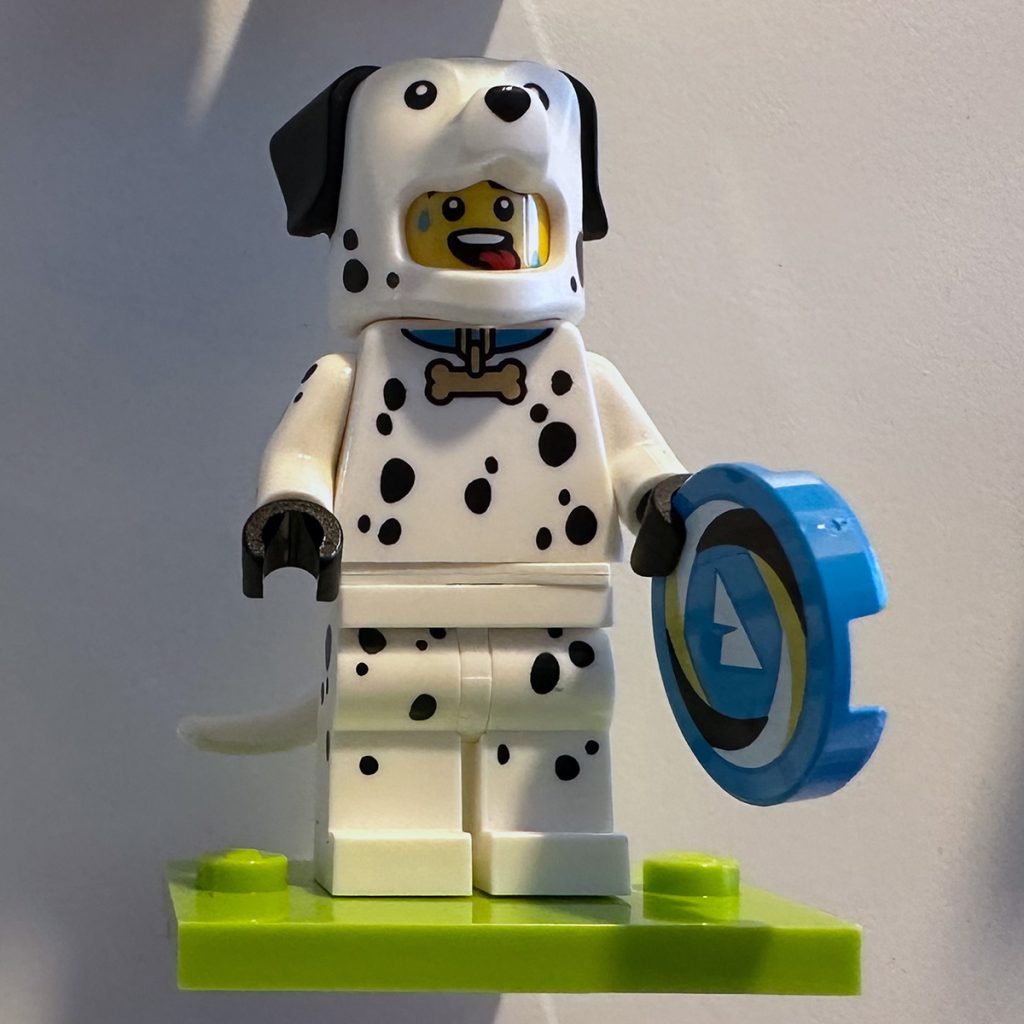 Frosch - Koala - Dalmatiner - Krokodil