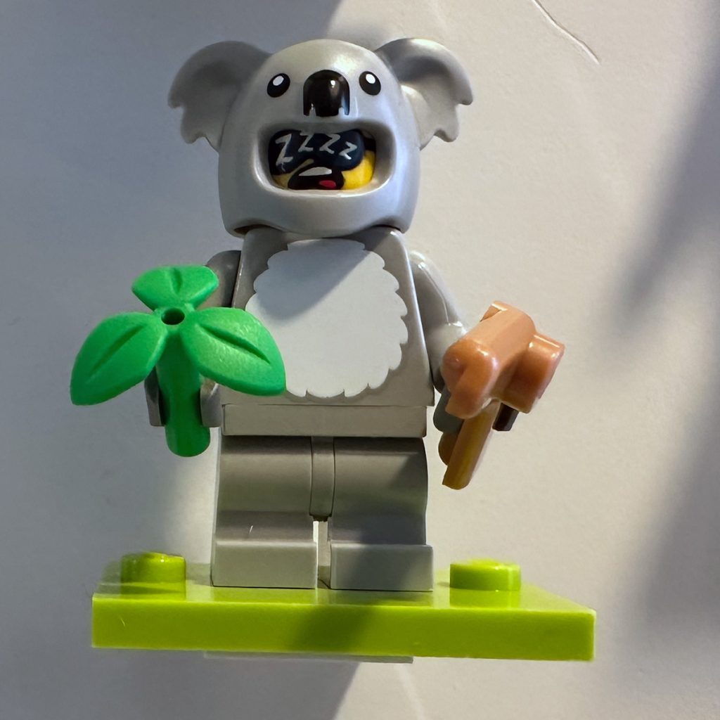 Frosch - Koala - Dalmatiner - Krokodil