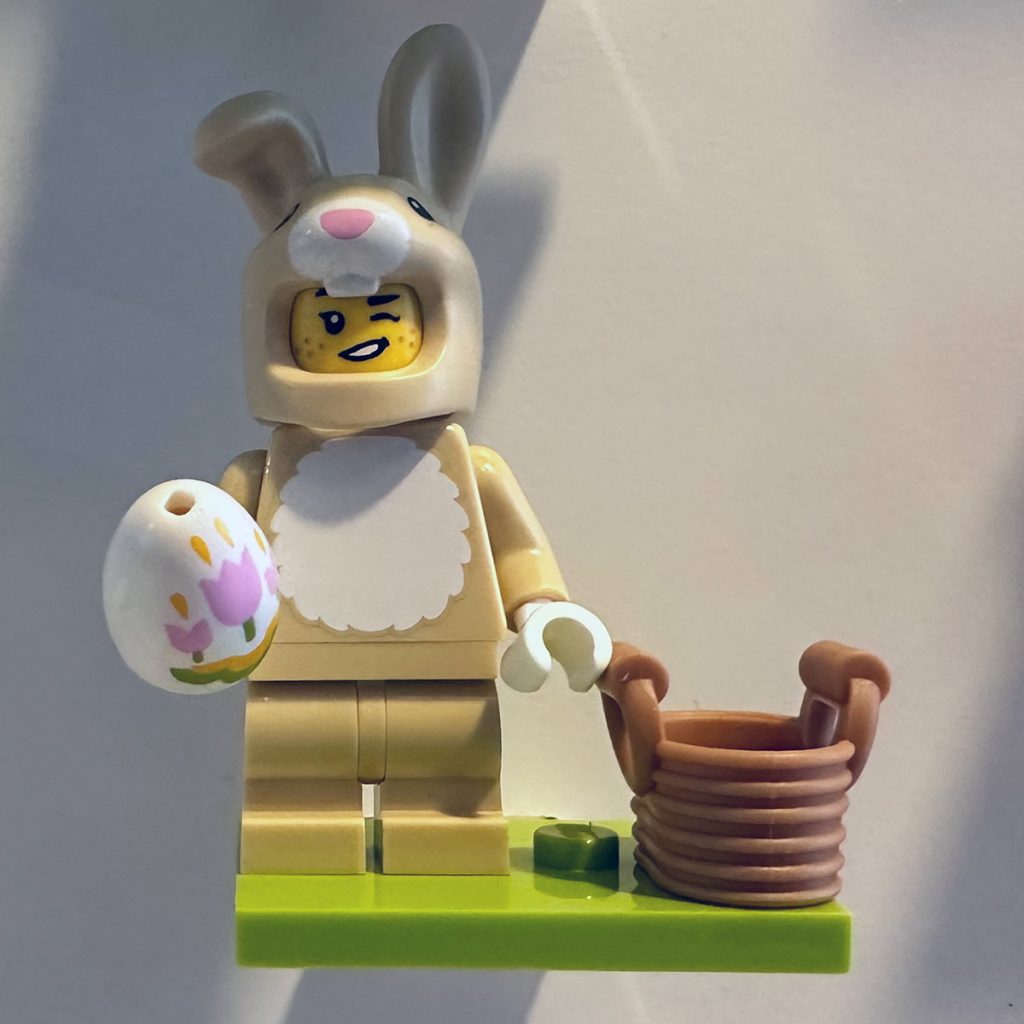 Delfin - Hase - Löwe - Papagei