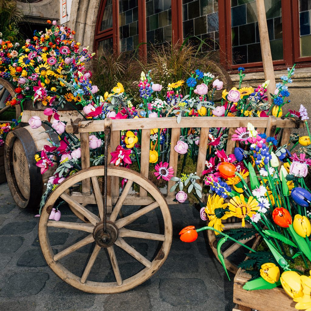 7000 LEGO Botanicals Blumen beim HeidiFest 2026 